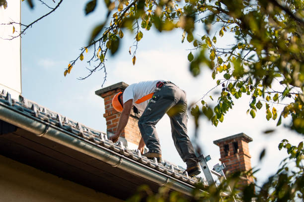 Best Local Roofing Companies  in Marlette, MI
