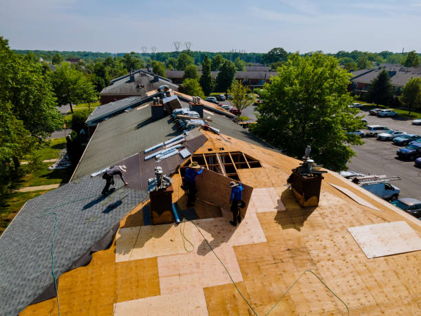 Best Flat Roof Repair Services  in Marlette, MI