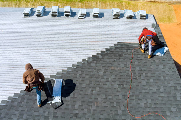 Best Affordable Roof Replacement  in Marlette, MI