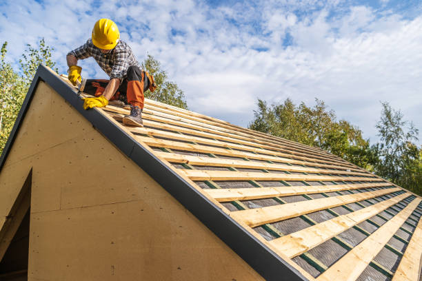 Best Roofing Contractor Near Me  in Marlette, MI