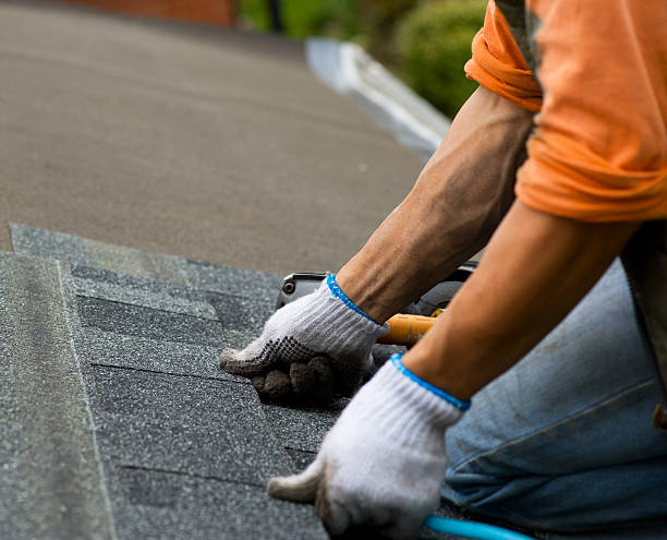 Best Shingle Roofing Installation  in Marlette, MI