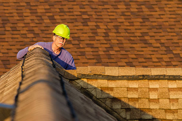 Best Metal Roofing Contractor  in Marlette, MI