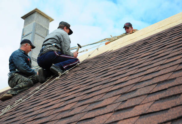 Best Roof Repair Estimates  in Marlette, MI