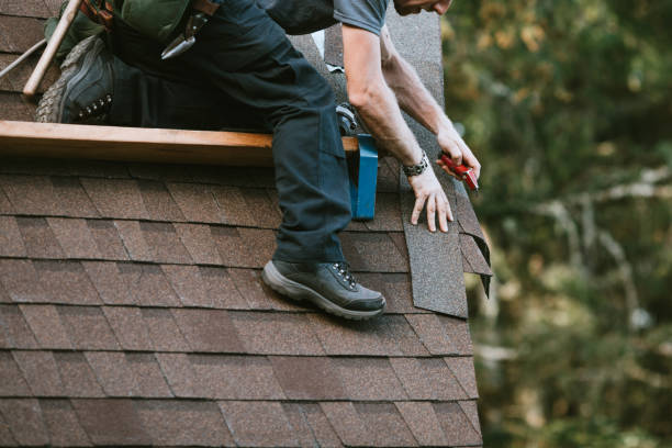 Best Roofing Contractor Near Me  in Marlette, MI